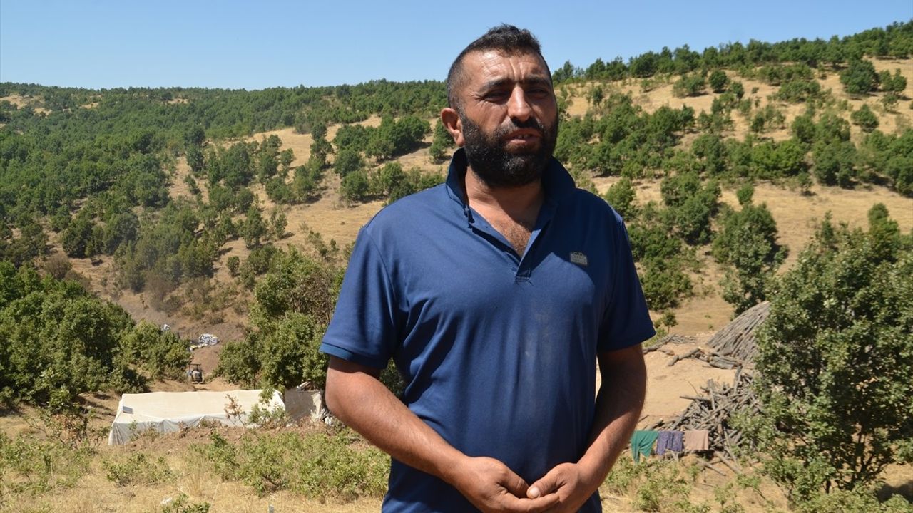 Muş'ta Meşe Mangal Kömürü Üreticileri Sıcağa Karşı Nöbette