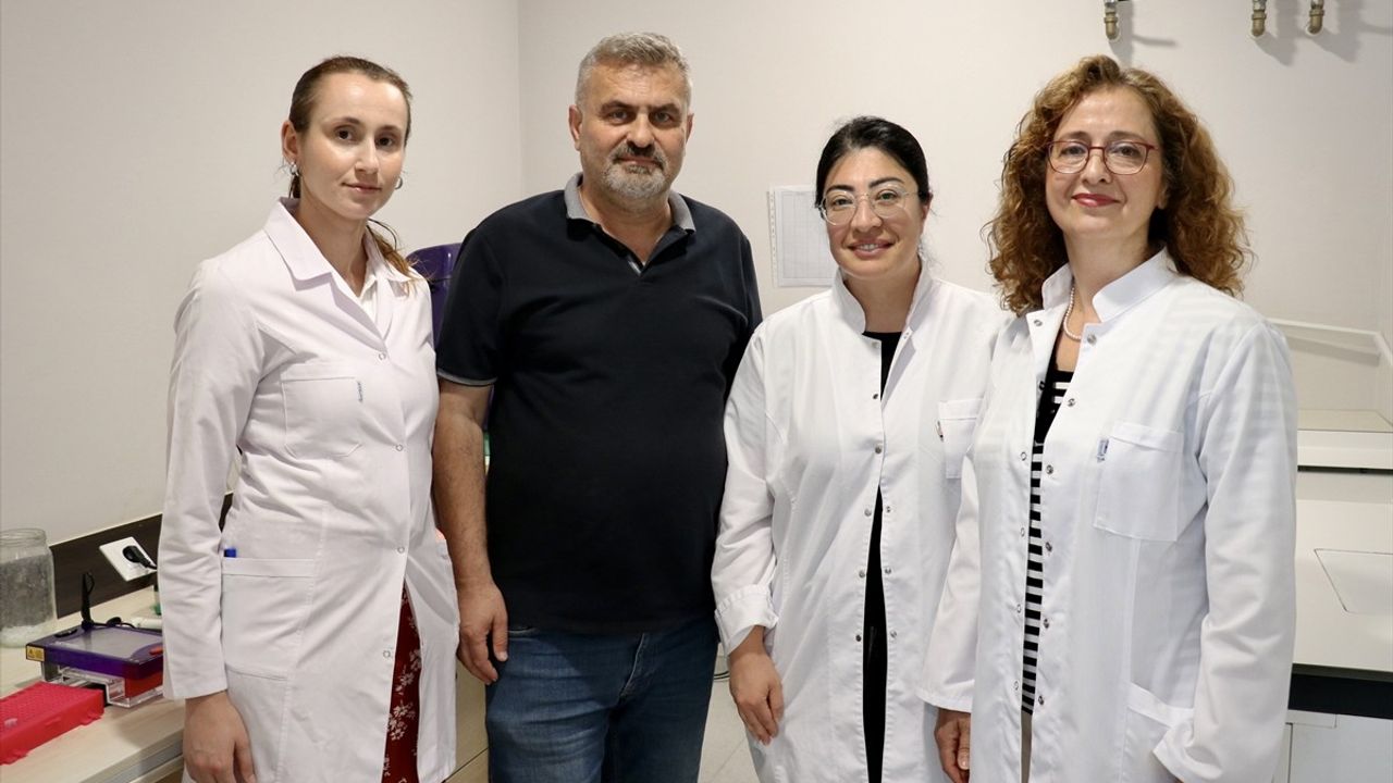 OMÜ, Samsun-Sinop-Tokat’ta Kene Risk Haritası Hazırlıyor