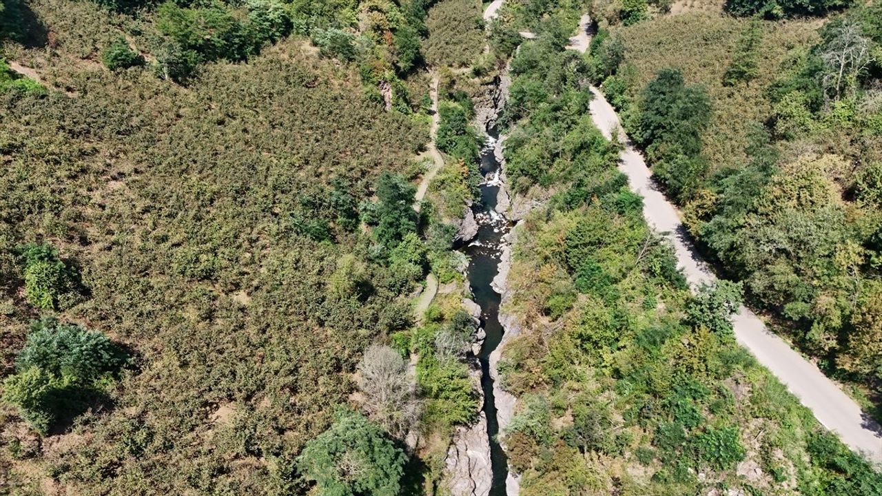 Ordu'da Küpkaya Kanyonu'na Ziyaretçi Yoğunluğu