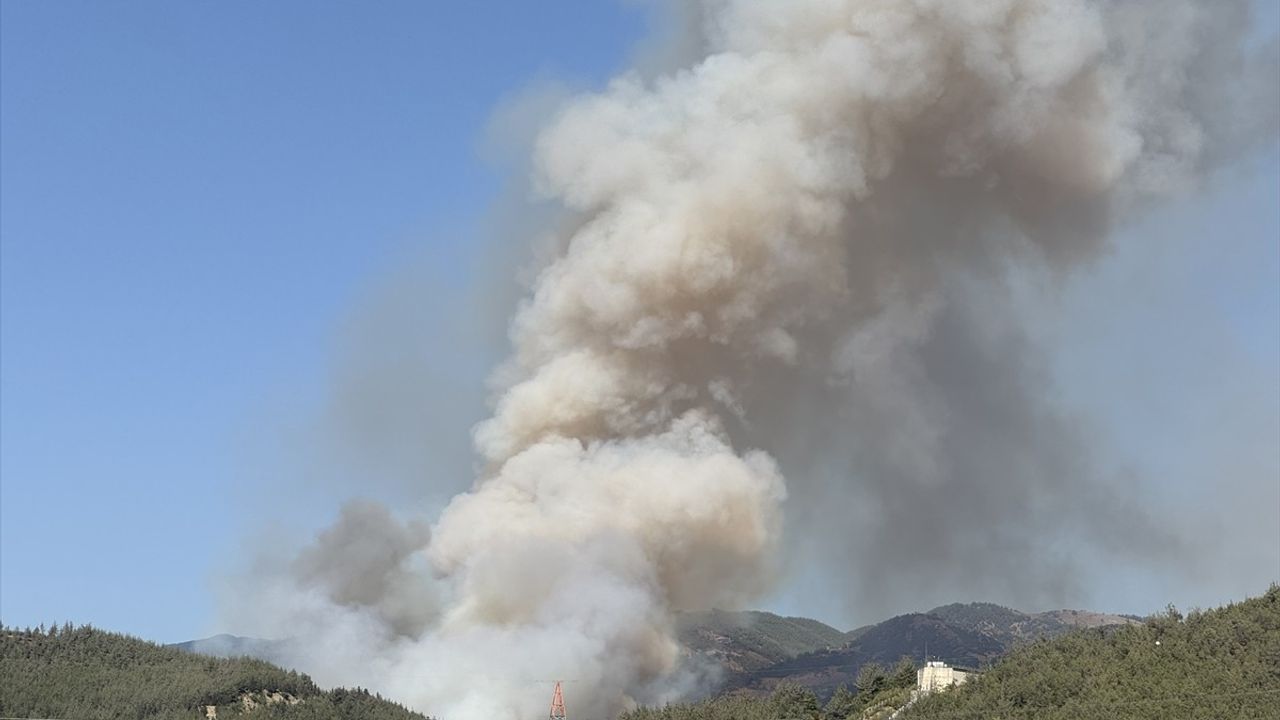 Osmaniye Düziçi'nde Orman Yangını: Havadan ve Karadan Müdahale