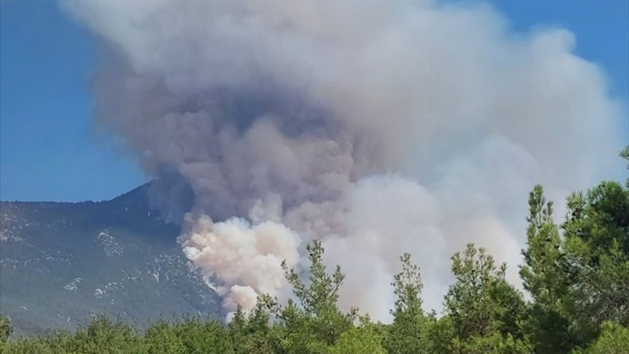 Pamukkale'de Orman Yangını: Havadan ve Karadan Müdahale