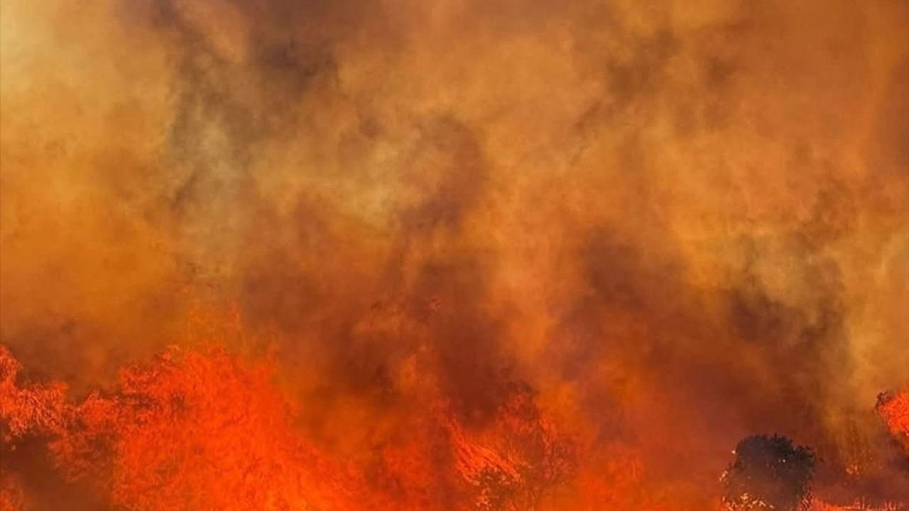 Paşalimanı Adası'nda Orman Yangını: Erdek'te Müdahale