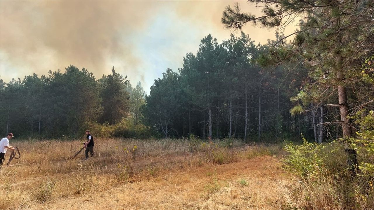 Sakarya Akyazı'da Orman Yangını Kontrol Altına Alındı