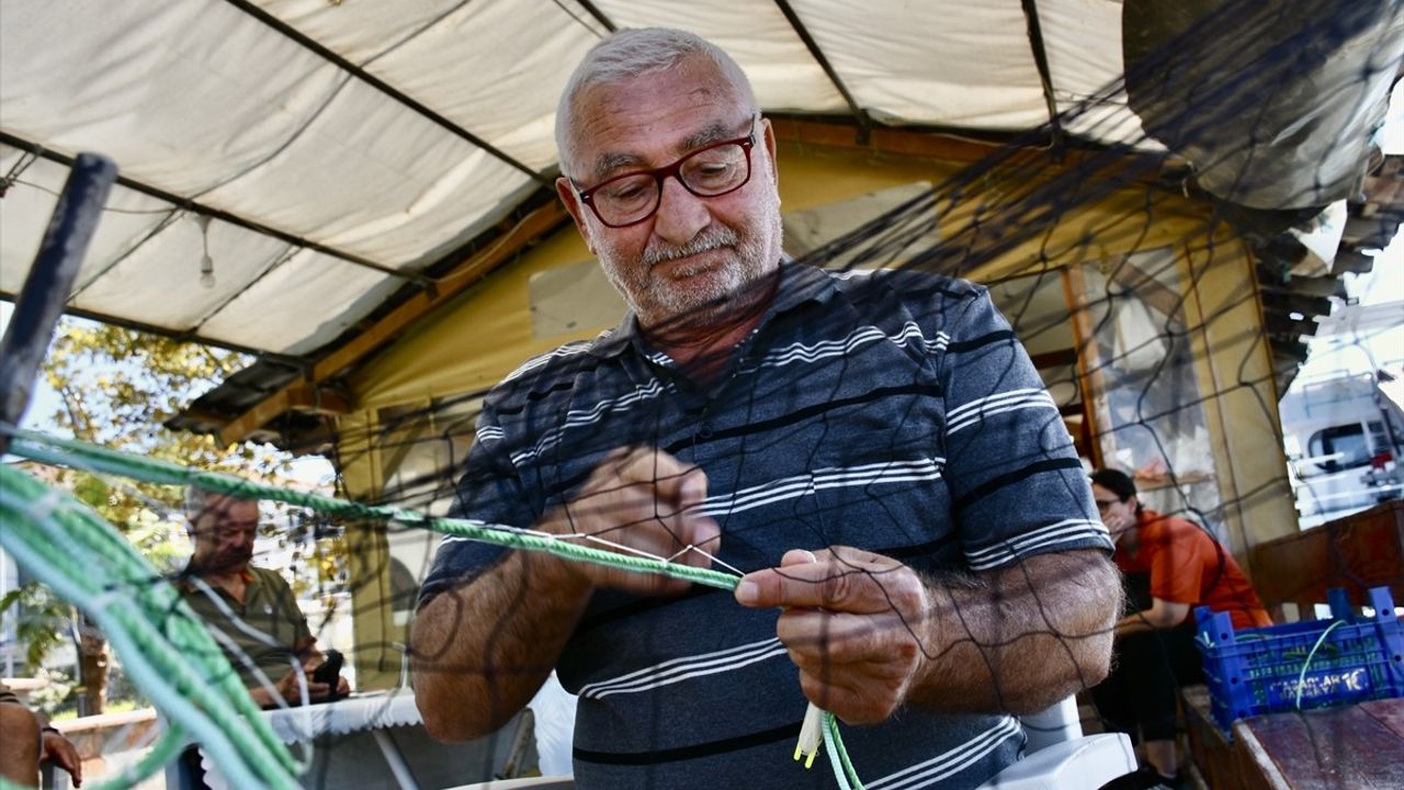 Sakarya'da Balıkçılar 1 Eylül İçin Hazır: Hamsi ve İstavrit Umudu