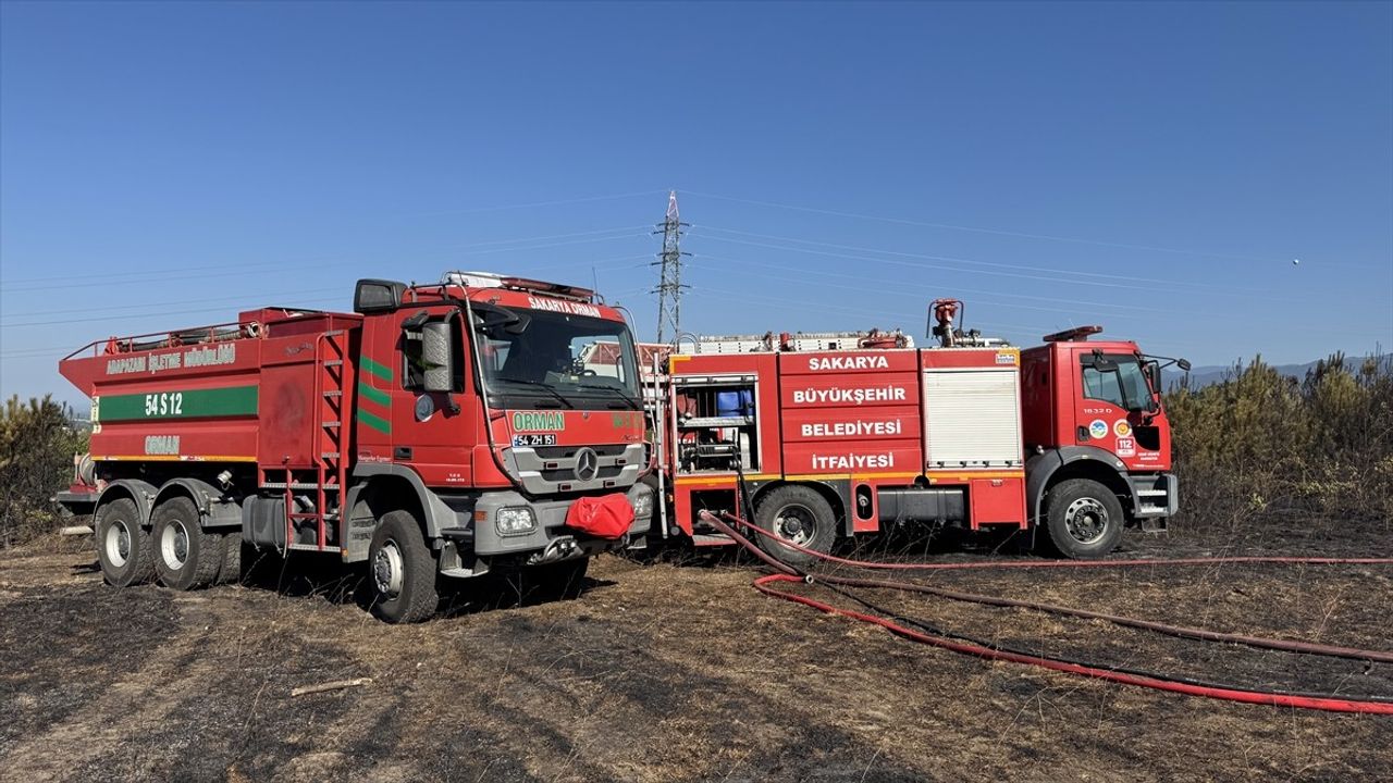 Sakarya'da Yerleşim Alanına Yakın Orman Yangını Söndürüldü
