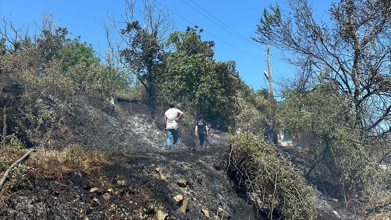 Samsun'da Fındık Bahçesinde Yangın: Orman Kurtarıldı