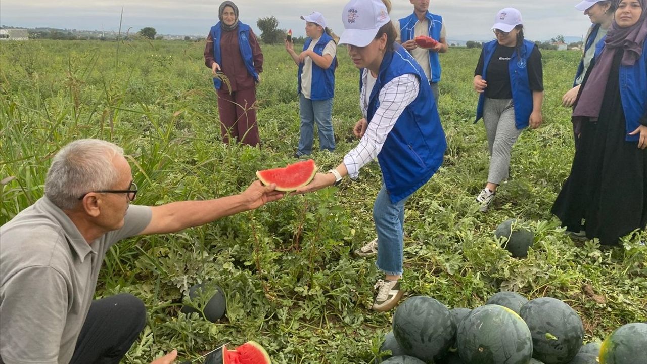 Samsun'da Gençler Karpuz Hasadında Buluştu