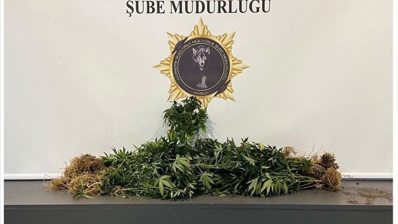 Samsun'da Uyuşturucu Operasyonu: 10 Gözaltı