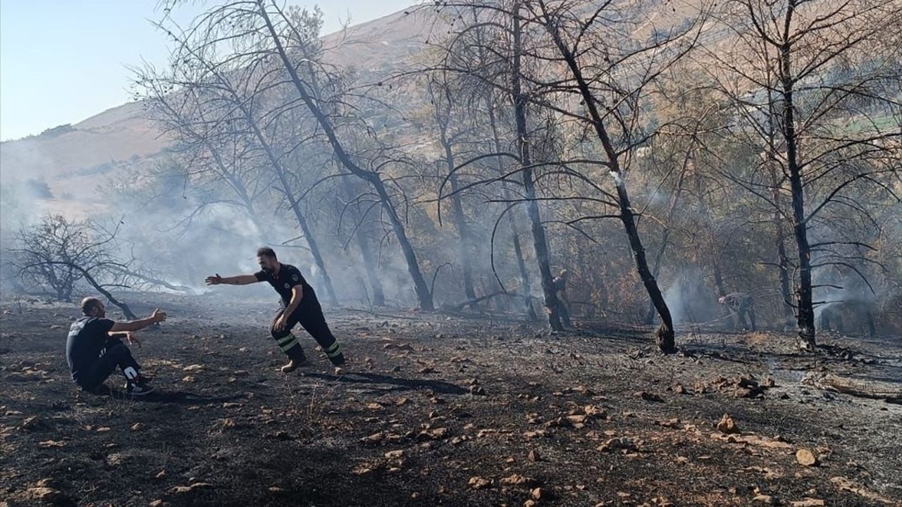 Şanlıurfa'da Orman Yangını Kontrol Altına Alındı