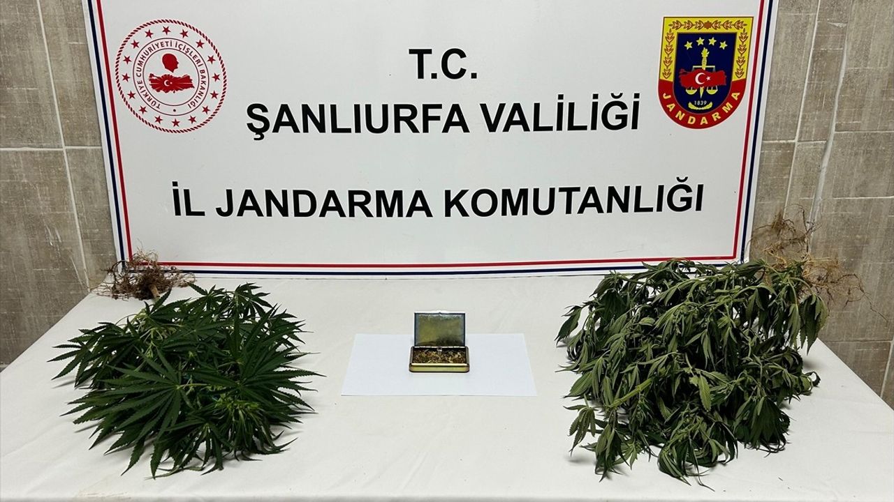 Şanlıurfa'da Uyuşturucu ve Silah Kaçakçılığı Operasyonunda 6 Gözaltı