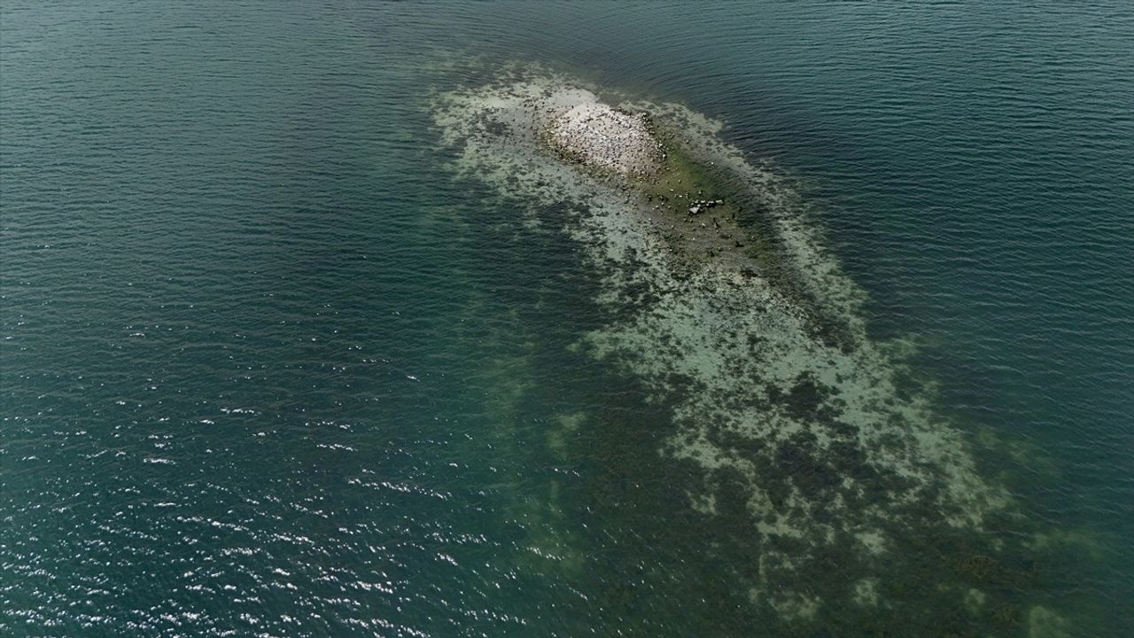 Sapanca Gölü'nde Su Seviyesi Kritik Eşikte: Kalıntılar Ortaya Çıktı