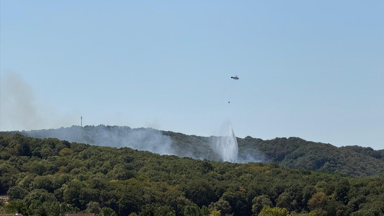 Sarıyer Zekeriyaköy'de Orman Yangını: Hava ve Kara Müdahalesi Sürüyor