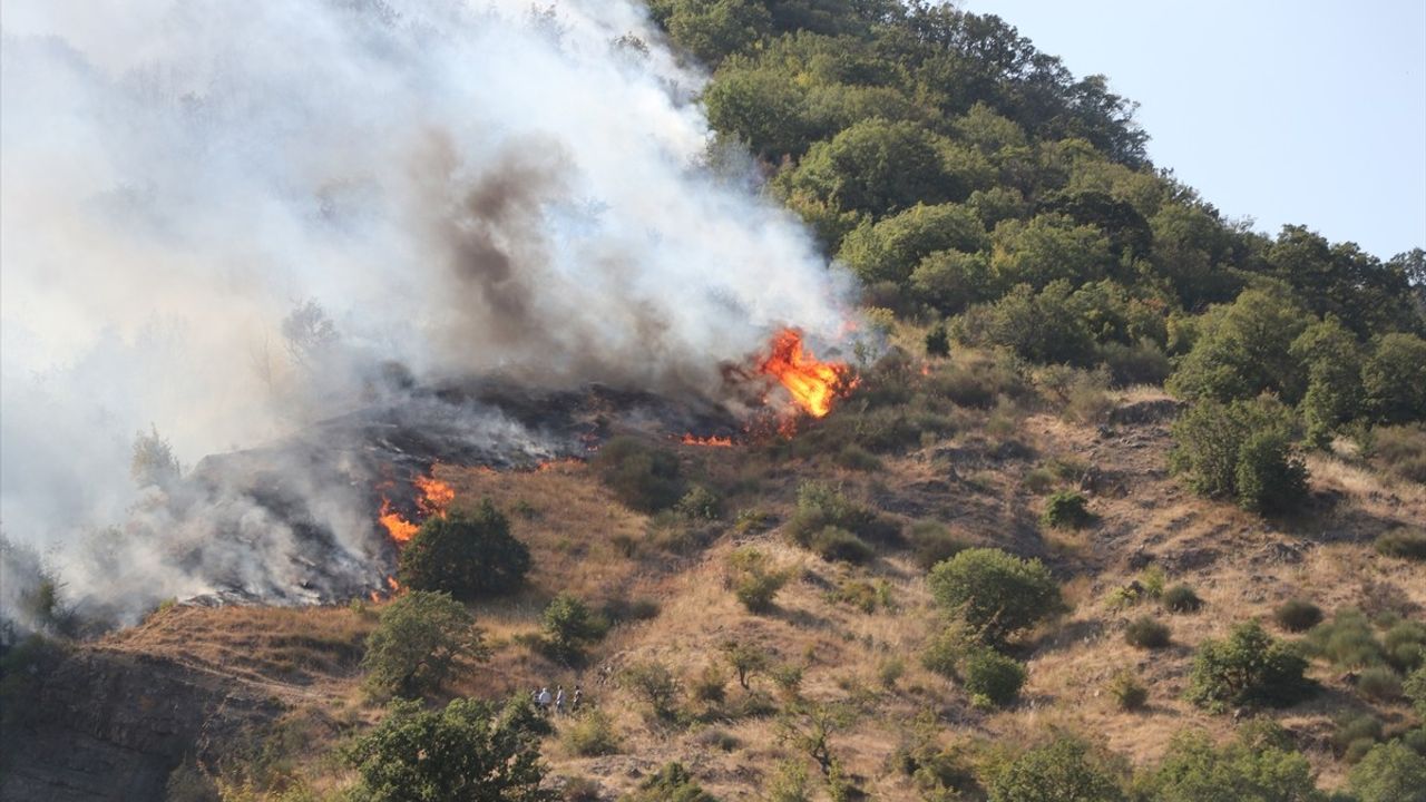 Şarköy'de Yeniden Alevlenen Orman Yangınına Hızla Müdahale Ediliyor