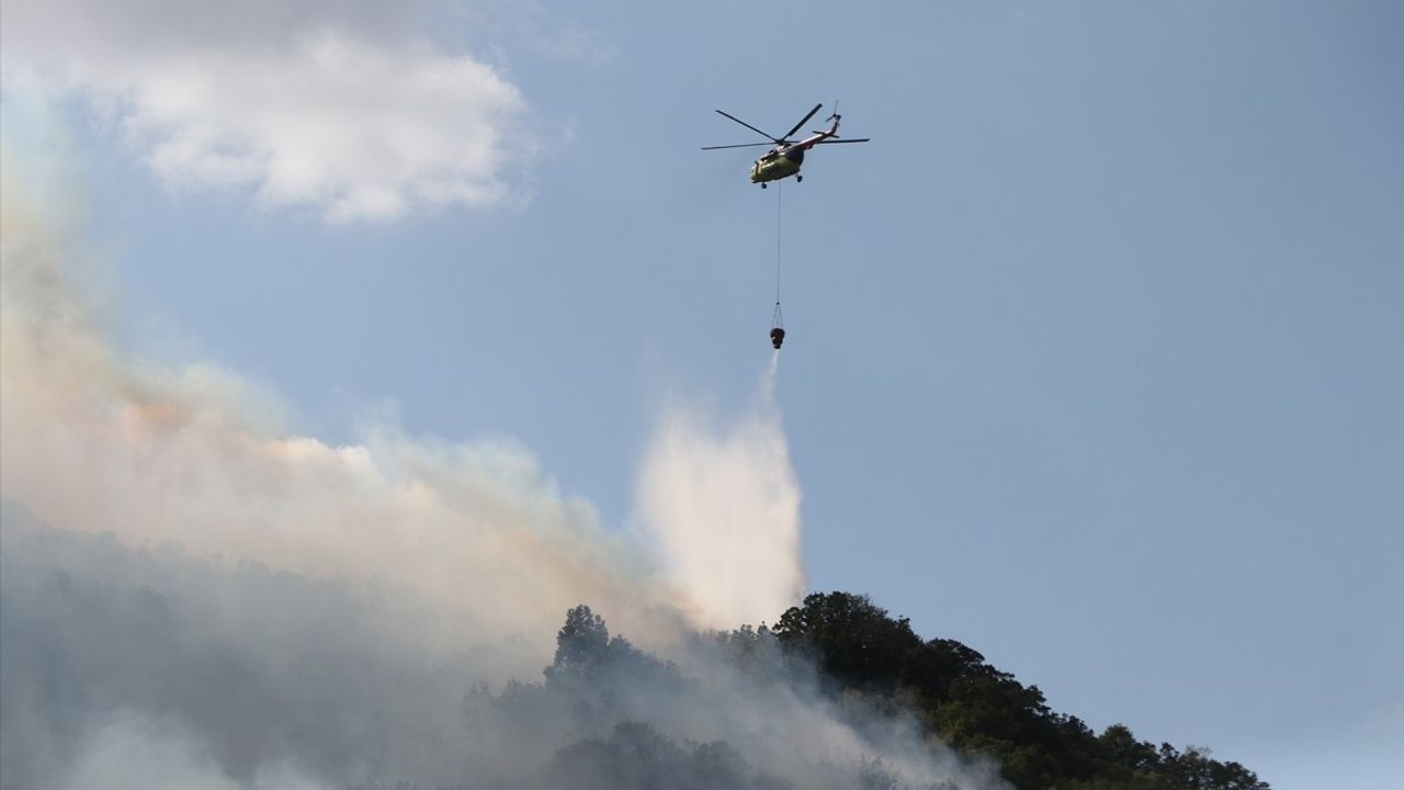 Şarköy'deki Orman Yangınına Hızla Müdahale Devam Ediyor