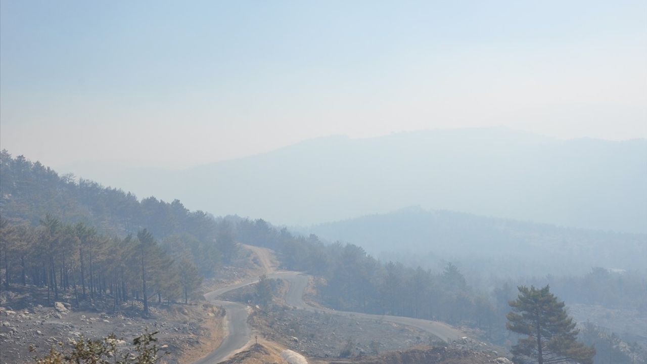 Silifke'de Orman Yangını 3. Gününde: Havadan ve Karadan Müdahale Sürüyor