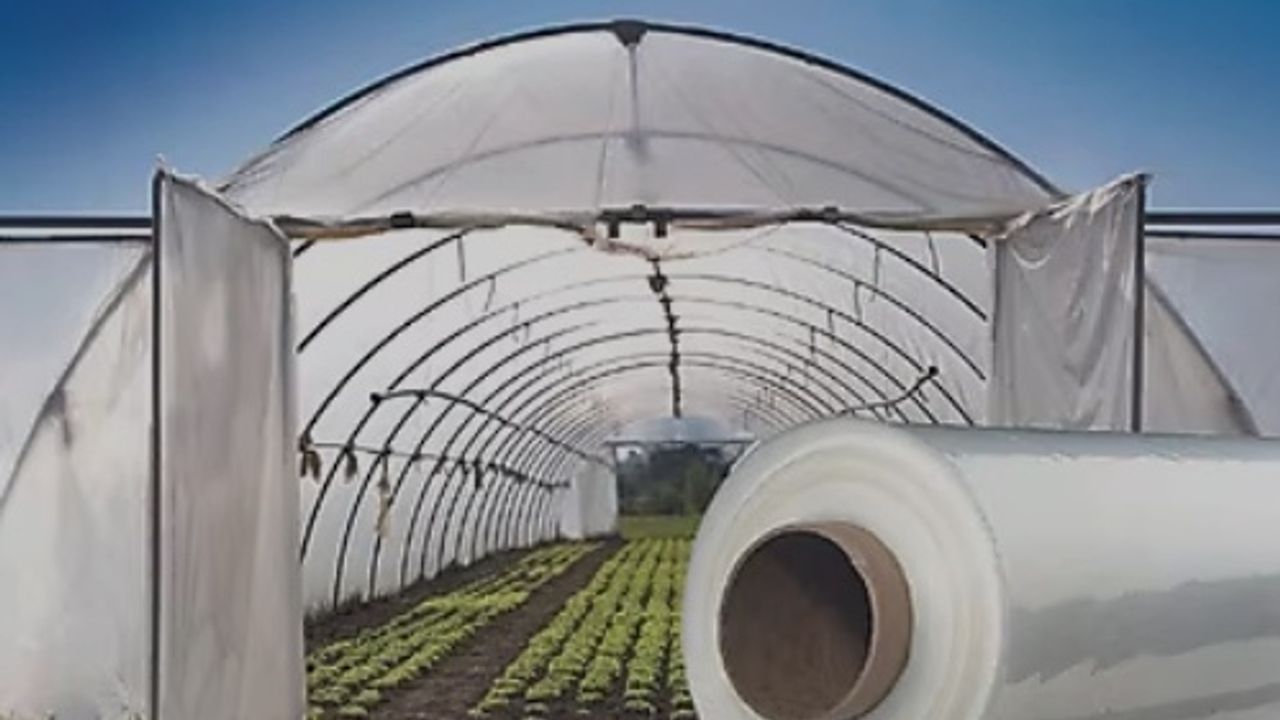 Sinop Gerze'de 52 Çiftçiye 273 Bin TL Hibe: Plastik Sera Naylonları Yenilendi