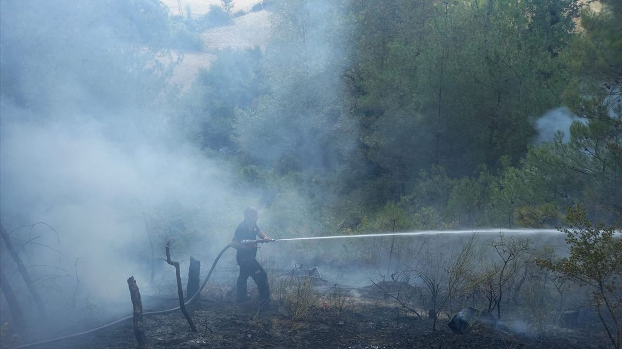Sinop Gerze'de Orman Yangınına Ekipler Müdahale Ediyor