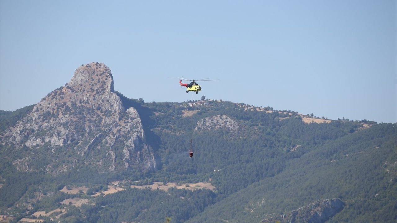 Sinop'ta Orman Yangını Kontrol Altına Alındı, Mücadele Devam Ediyor