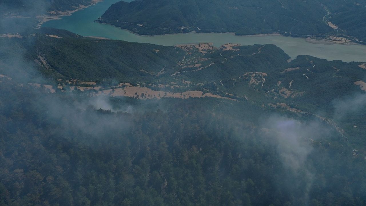Sinop'ta Orman Yangınına Hızla Müdahele Devam Ediyor