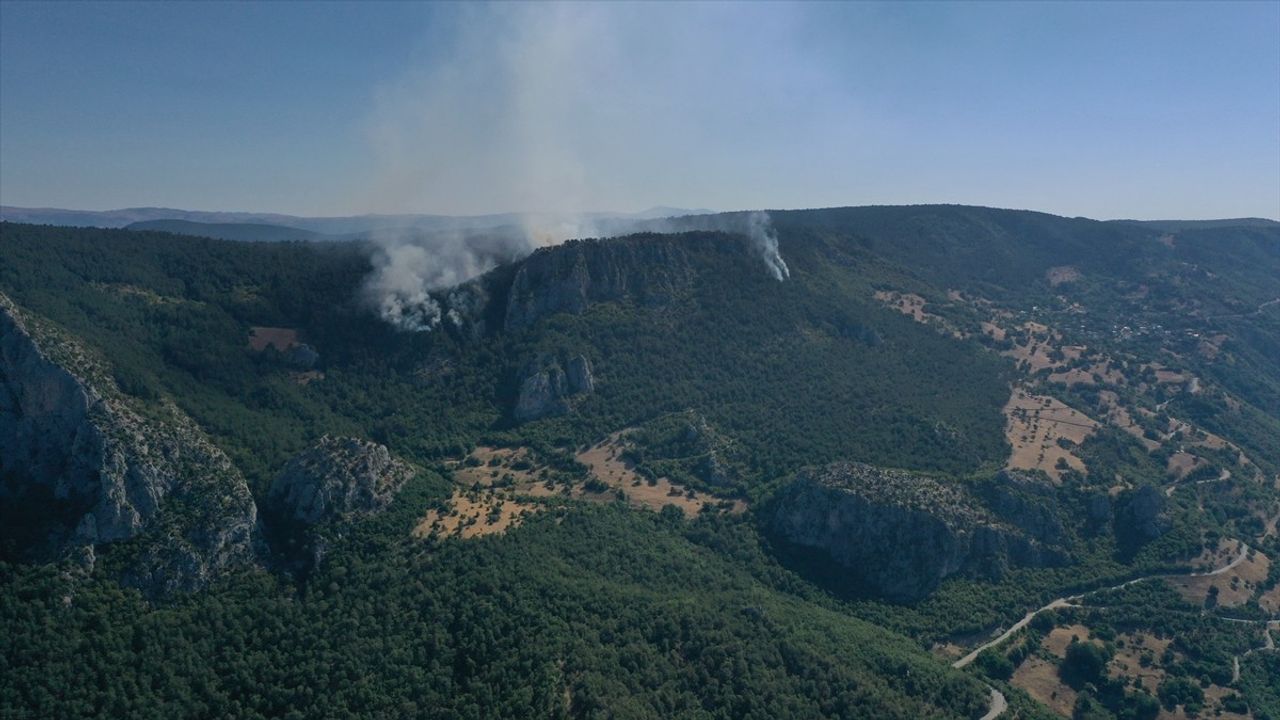 Sinop'ta Orman Yangınına Hızlı Müdahale Devam Ediyor
