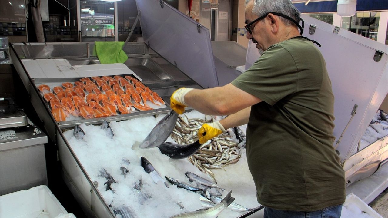 Sinop'ta Torik Bereketi: Sezonun İlk İri Palamutları Tezgaha Çıktı