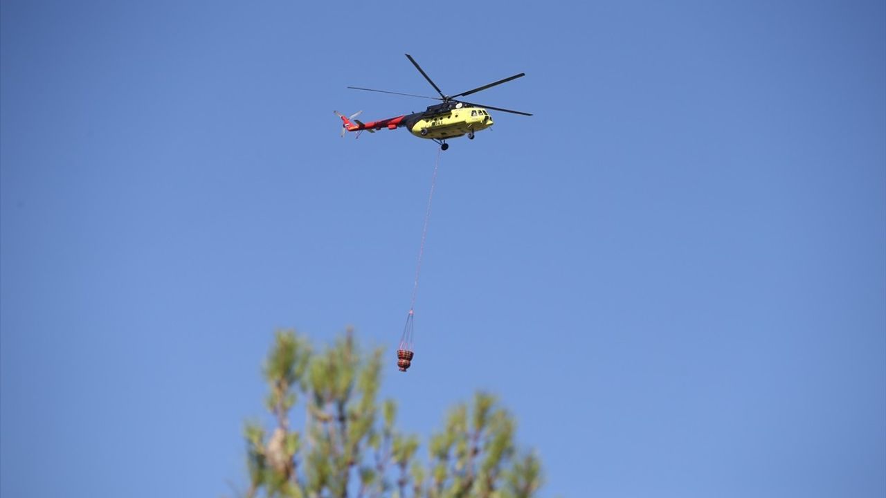 Sinop'taki Orman Yangını Kontrol Altına Alındı