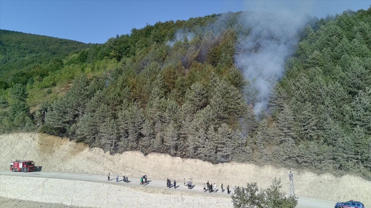 Sinop Türkeli'de Orman Yangını Kontrol Altına Alındı