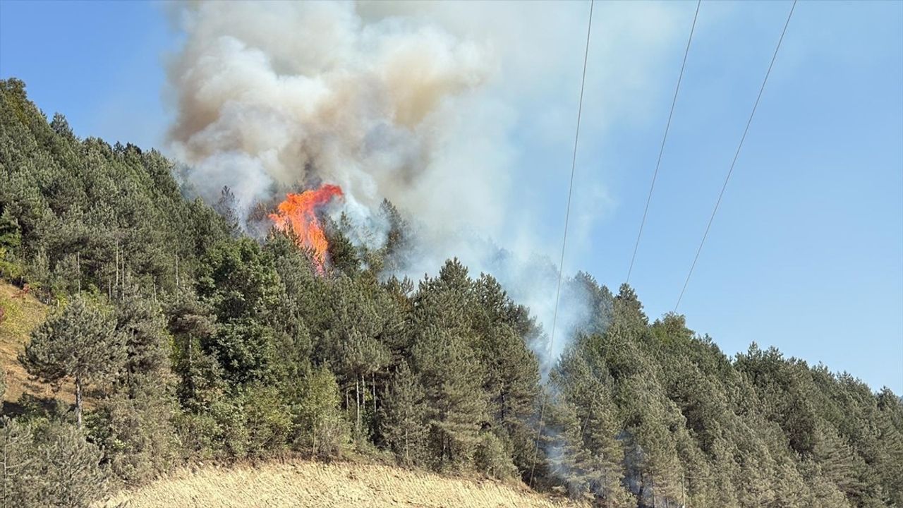 Sinop'un Türkeli İlçesinde Orman Yangını — Kuşçular Köyünde Müdahale