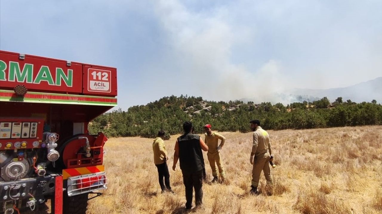 Şırnak'ta Orman Yangını: Hızla Müdahale Ediliyor