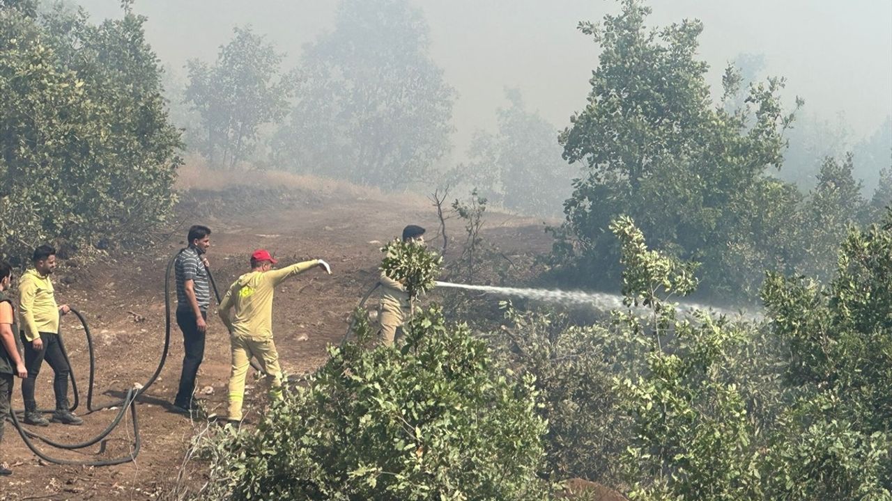 Şırnak'taki Orman Yangını Kontrol Altına Alındı