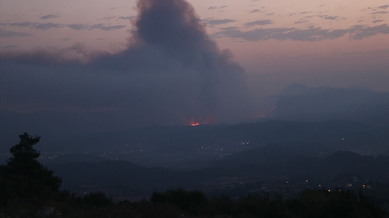 Suriye'de Lazkiye, Tartus ve Hama'da Orman Yangınları Sürüyor