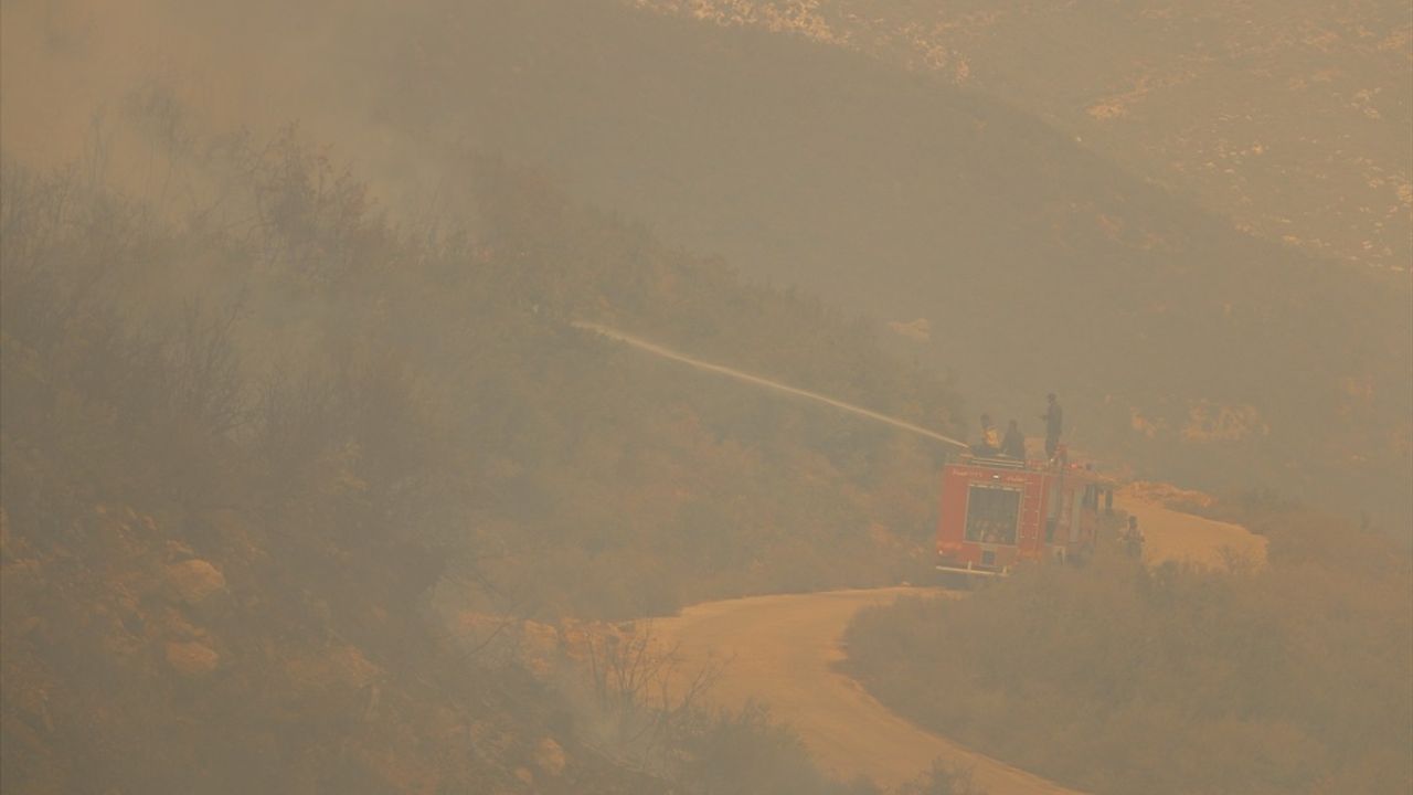 Suriye'de Lazkiye ve Hama'da Orman Yangınları: 6 Noktada Tahliyeler