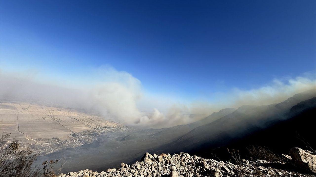 Suriye'de Orman Yangınları: Hama ve Lazkiye'ye Yoğun Müdahale
