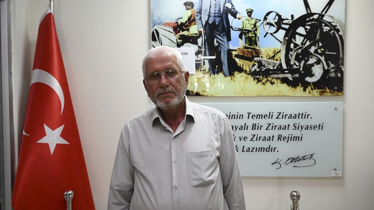 Tarım Sayımı Bürolarında Yoğun Başvuru Dönemi Başladı