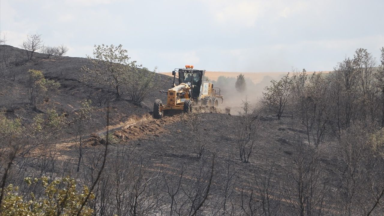 Tekirdağ'da Anız Yangını Ormana Sıçradı