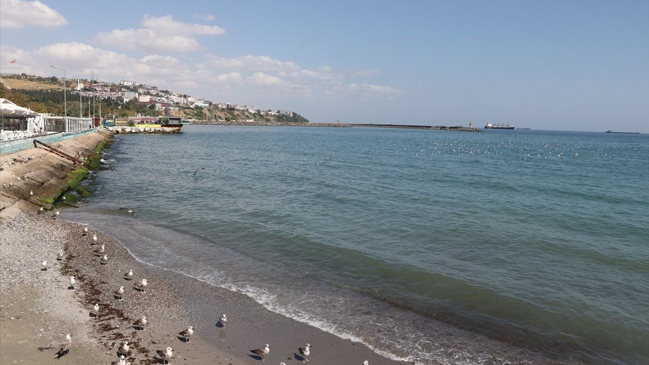 Tekirdağ'da Deniz Ulaşımı Normale Döndü