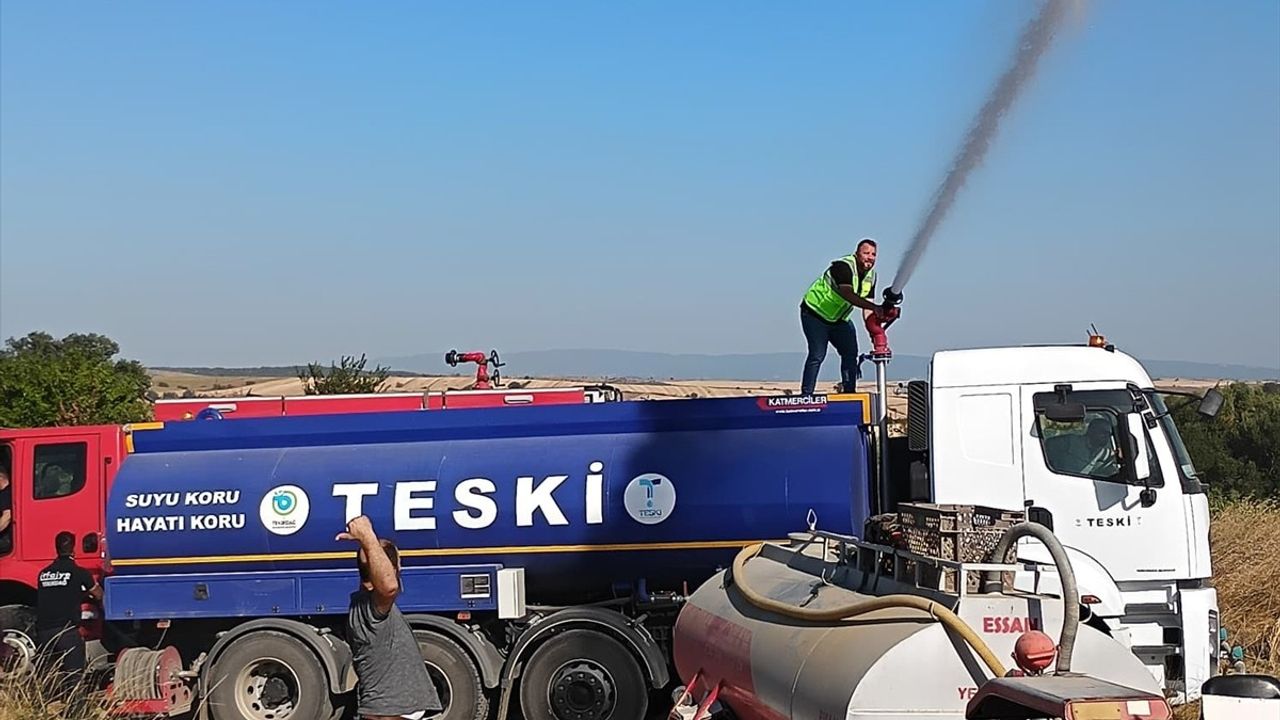 Tekirdağ'da Piknik Alanında Yangın: 50 Dönüm Makilik Ziyan Oldu