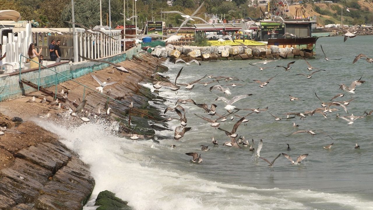 Tekirdağ'da Poyraz Deniz Ulaşımını Aksattı: 8 Şilep ve Tanker Açıkta Bekliyor