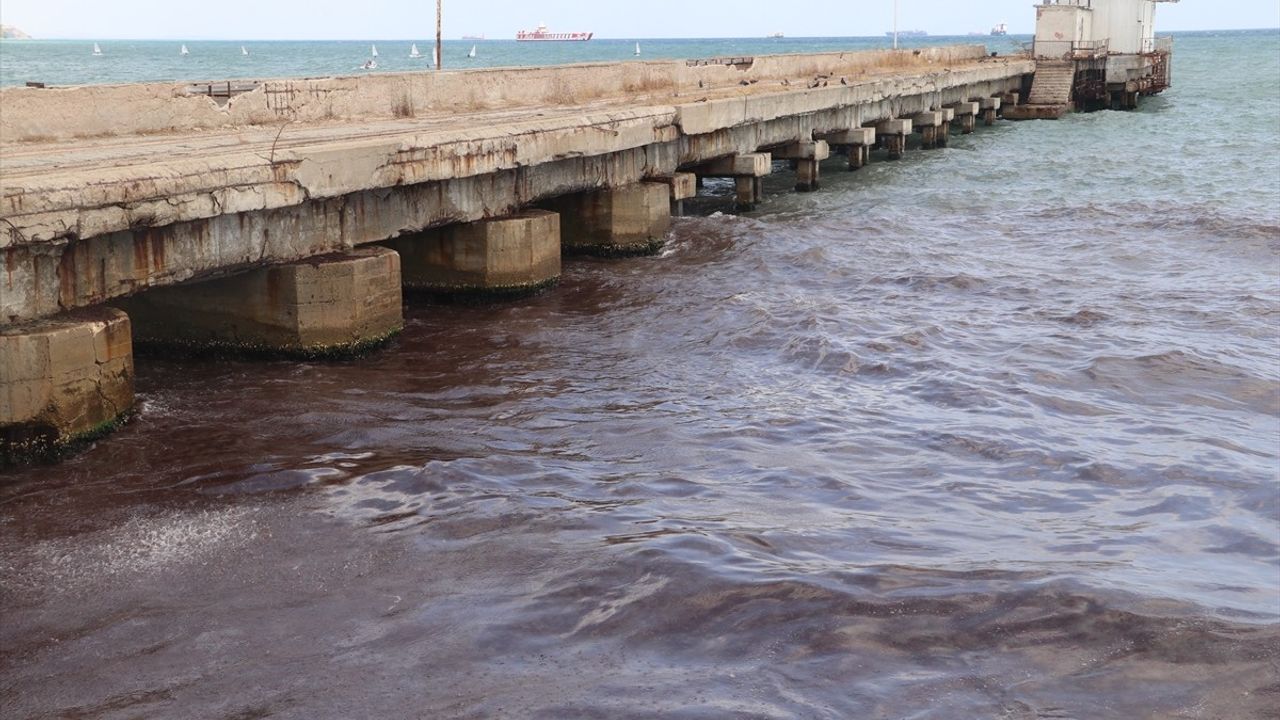 Tekirdağ'da Sahil Kırmızı Yosunla Kaplandı — Poyraz Etkisi