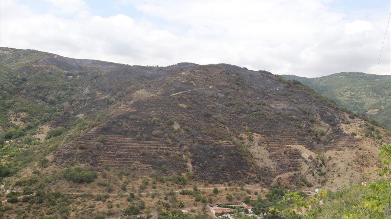 Tekirdağ'ın Şarköy ilçesindeki orman yangını kontrol altına alındı