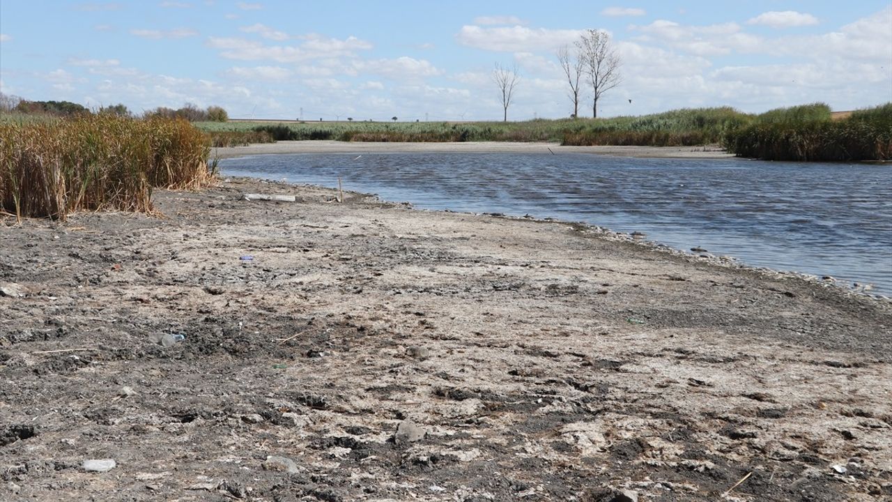 Tekirdağ Kırkkepenekli Göleti'nde Balık Ölümleri: Su Seviyesi ve Oksijen Azaldı