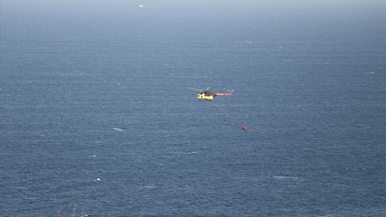 Tekirdağ Şarköy'de Orman Yangını Kontrol Altında, 1 Kişi Gözaltında