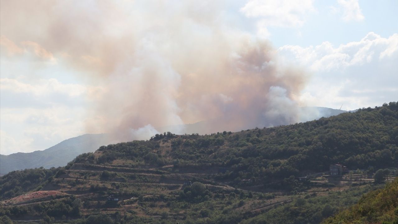 Tekirdağ Şarköy'deki Orman Yangını Kontrol Altına Alındı