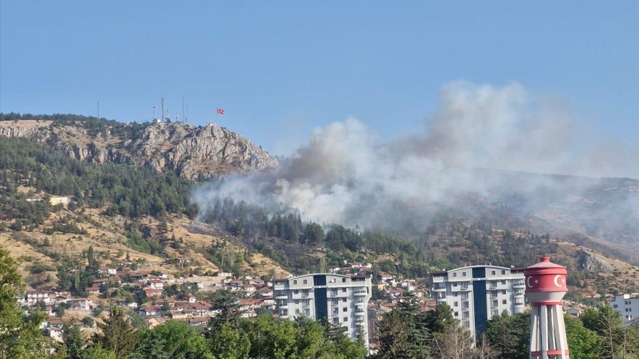 Tokat'ta Gıjgıj Tepesi'nde Orman Yangını: Ekipler Karadan Müdahale Ediyor