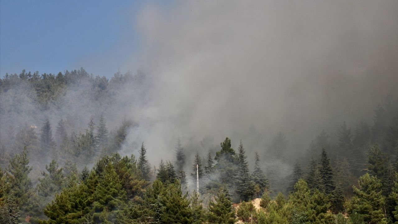 Tokat'ta Gıjgıj Tepesi'nde orman yangını kontrol altına alındı