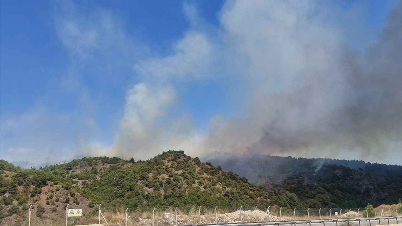 Tokat'ta Orman Yangınına Hızla Müdahale Ediliyor