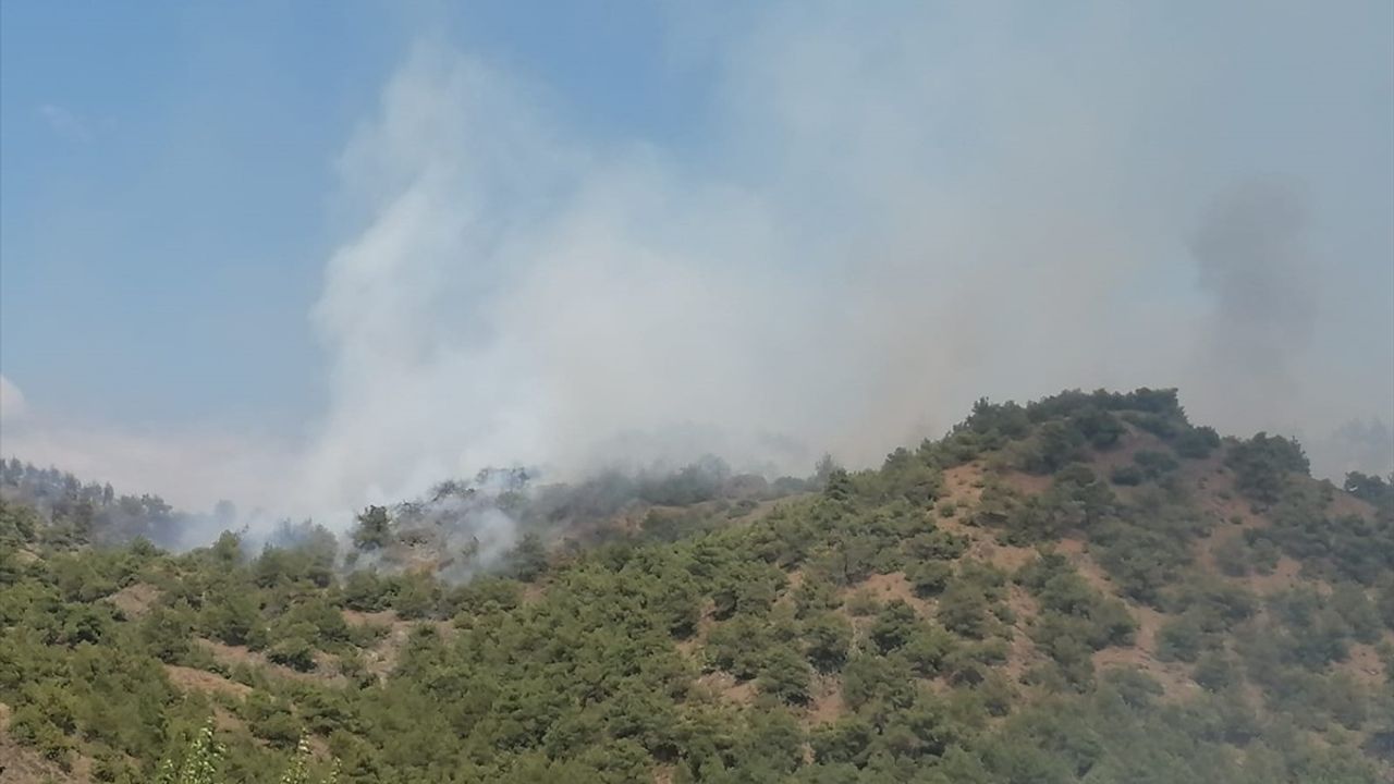 Tokat'ta Orman Yangınının İzleri Dronla Görüntülendi
