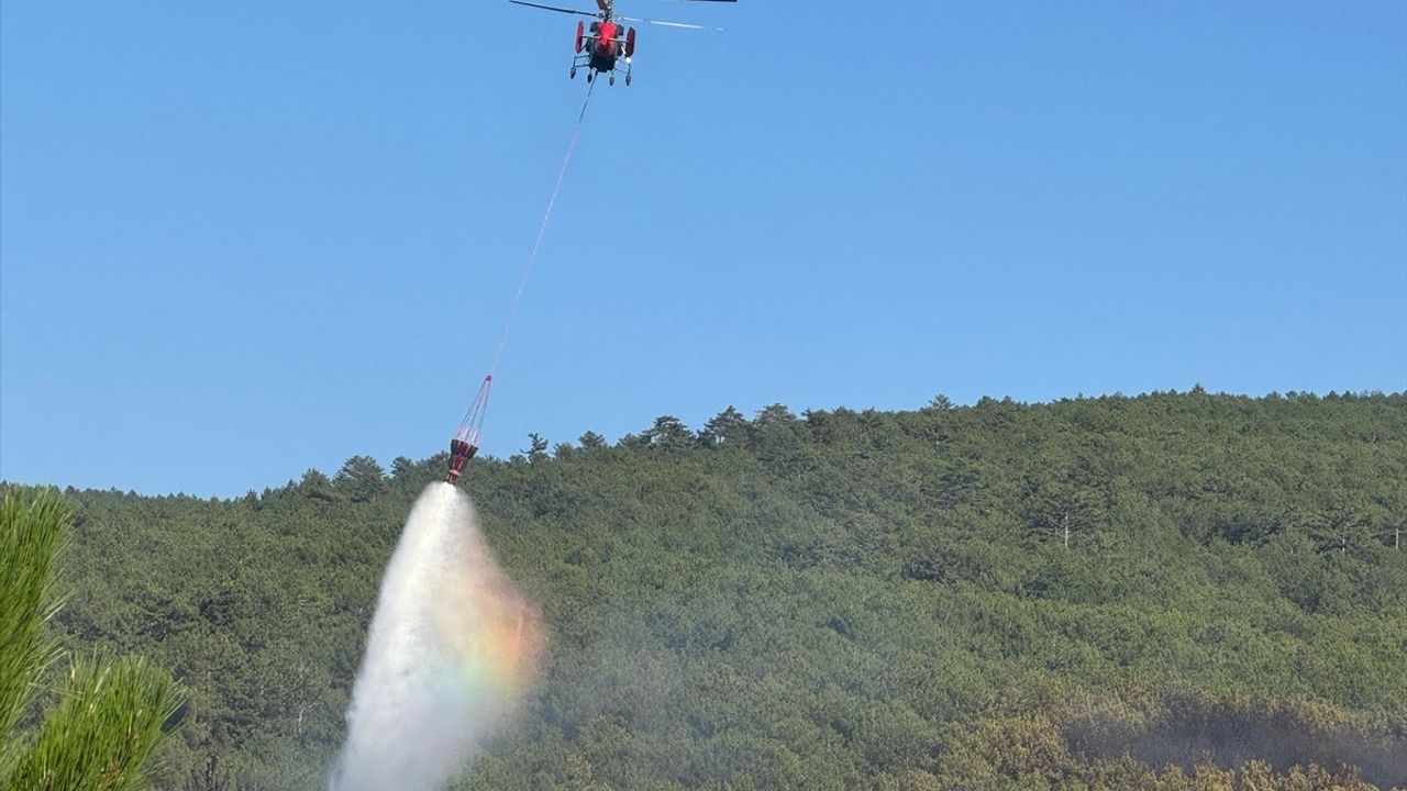Uşak'ta orman yangını kontrol altına alındı
