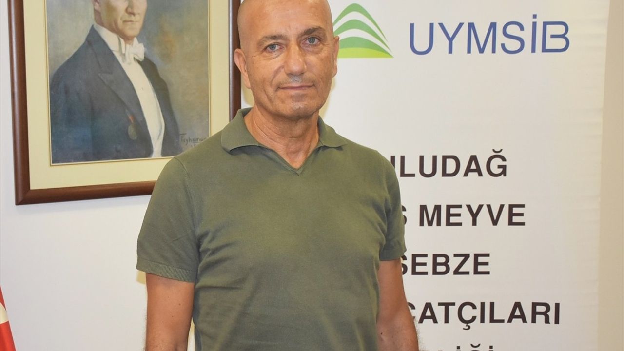 UYMSİB Başkanı Yazgan: Bursa Siyah İnciri AB Gümrüklerinde Bekletiliyor
