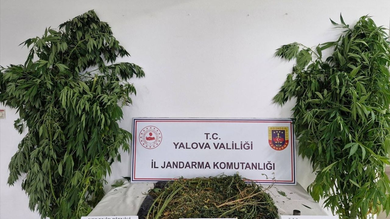 Yalova'da Uyuşturucu Operasyonunda 2 Kişi Tutuklandı